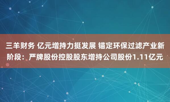 三羊财务 亿元增持力挺发展 锚定环保过滤产业新阶段：严牌股份控股股东增持公司股份1.11亿元