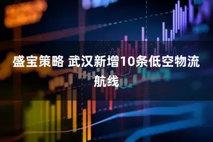 盛宝策略 武汉新增10条低空物流航线
