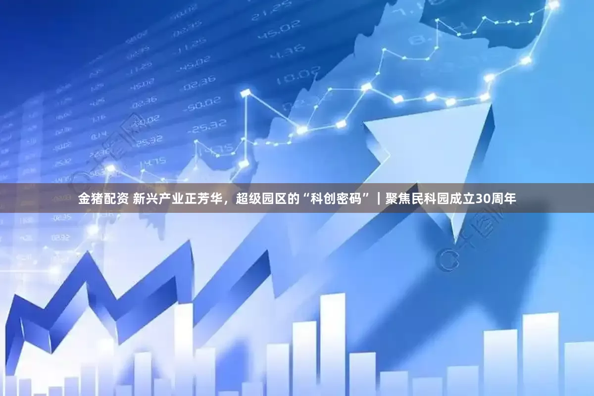 金猪配资 新兴产业正芳华,超级园区的“科创密码”|聚焦民科园成立30周年
