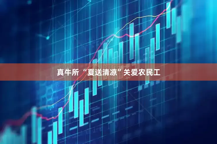 真牛所 “夏送清凉”关爱农民工